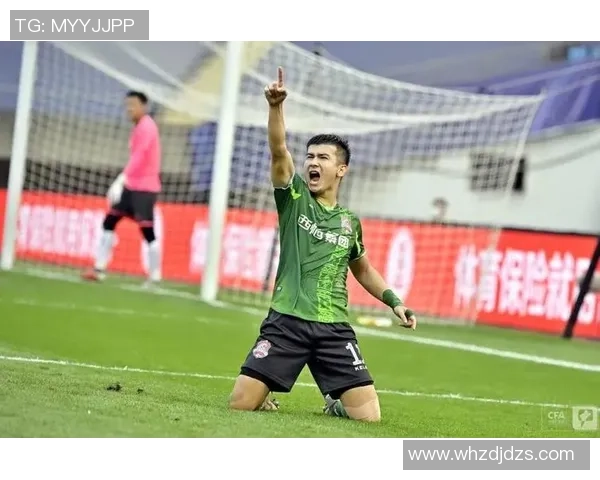 新疆雪豹纳欢与黑龙江FC精彩对决全场录像回放分析与亮点总结